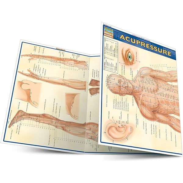 Amazon | Auriculotherapy Manual: Chinese and Western Systems of