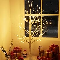 61EEoDMF1aL._AC_UL210_SR210,