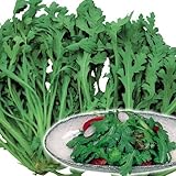 【メール便配送】　国華園　野菜たね　菜類　サラダ春菊　1袋(30ml)【※発送が国華園からの場合のみ正規品です】