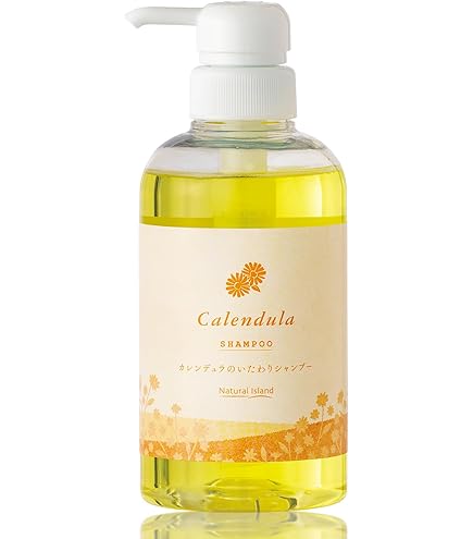 Amazon | ねば塾 白樺シャンプー 1000ml 詰め替え用 | ねば塾