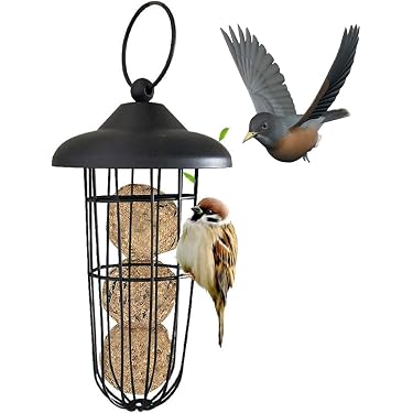 Amazon.co.jp 人気ギフトランキング: 鳥の餌やり・水やり用品 で