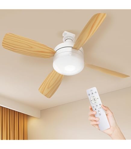Amazon.co.jp : 2026夏NEWデザイン シーリングファンライト 花びら型三
