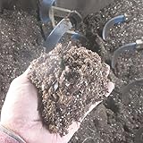 ピートモス　５リットル