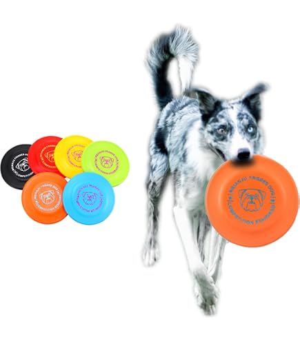 ドッグスポーツ　フリスビー　　　　セット Amazon | ノーブランド品 犬用スポーツディスク シリコン製 6色セット