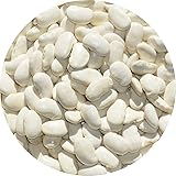 北海道産 白花豆 いんげん豆 アメ横 大津屋 インゲンマメ runner bean 隠元 インゲン 白花 (200g)