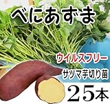 さつまいも ベニアズマ 切り苗 25本