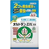 住友化学園芸 殺虫剤 オルトランDX粒剤 1kg 浸透移行性 アブラムシ コガネムシ幼虫