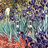 Rikki Knight Van Gogh Irises Design Double Toggle Light Switch Plate [並行輸入品]