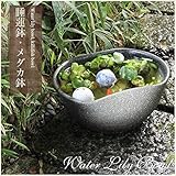 信楽焼 10号窯肌二方曲げ すいれん鉢 メダカ鉢 睡蓮鉢 スイレン鉢 金魚鉢 水鉢 陶器 su-0196