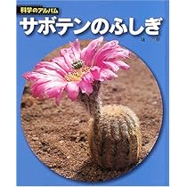 サボテンのふしぎ 新装版 (科学のアルバム植物 8) | 埴 沙萠 |本