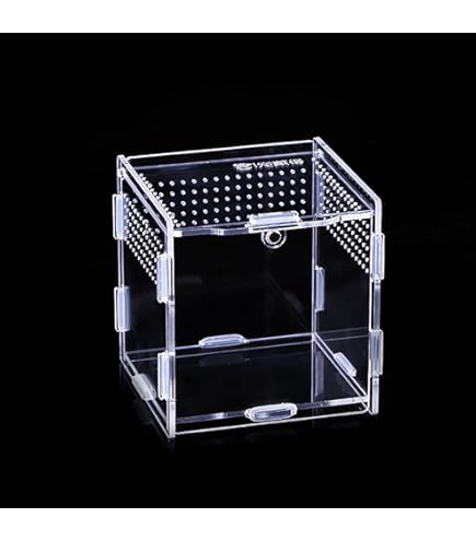 中型透明ガラス飼育ケース 中型透明ガラス飼育ケース