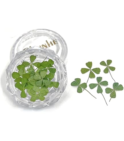 Amazon｜フクサン 押し花パック 四つ葉のクローバー(小) 12個入 FUK