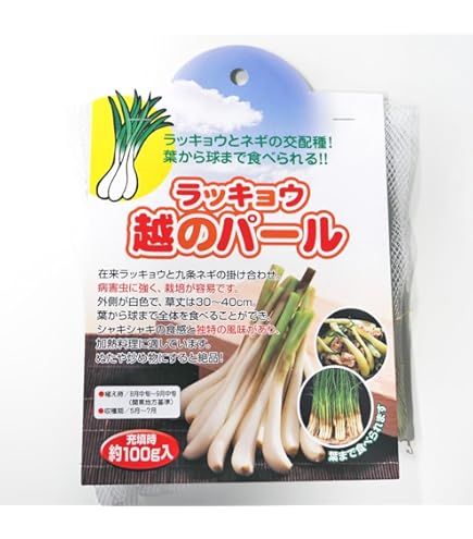 種らっきょう 球根 箱込み20キロ発送 楽天市場】らっきょう球根 種