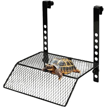 Amazon.co.jp 最新リリース: 観賞魚用品・アクアリウム の新着