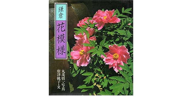 鎌倉花模様 広津 桃子 丸茂 慎一 本 通販 Amazon