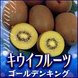 キウイフルーツ苗木(メス)　ゴールデンキング