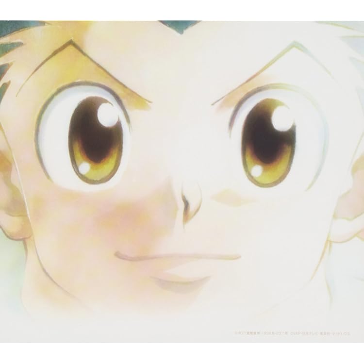 HUNTER×HUNTER Episode 3 CD 1003bEEZ0045_m1_a001.jpg