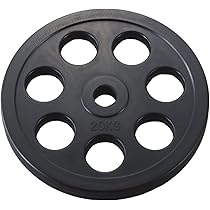 Amazon | ダンノ(DANNO) ラバーバーベルプレート 20kg D-5875