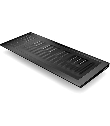 【極美品】ROLI Seaboard RISE 25&専用FilpCaseセット 極美品】ROLI Seaboard RISE 25&専用FilpCaseセット 極美品】ROLI