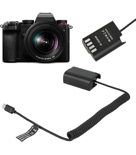 Amazon | Acogedor ダミーバッテリー、DCカプラータイプCからDMW BLK22