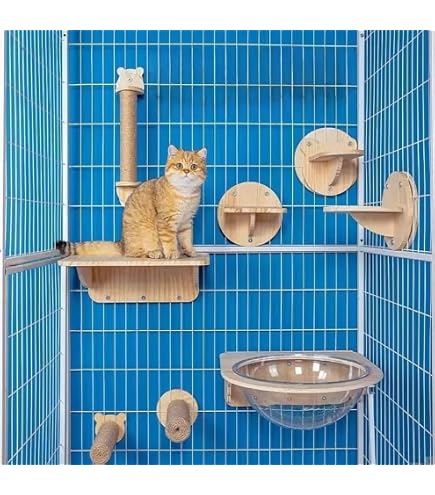 Amazon | ショコラステップの爪とぎ 組み立て 猫 ねこ ステップ 爪とぎ