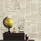 HaokHome 3253 ヴィンテージ新聞の壁紙、レタービニール壁紙の装飾53cm×10m(並行輸入品)