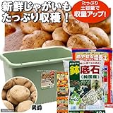 (観葉)プランターで育てる ジャガイモ栽培セット 男爵 植え方 家庭菜園 本州・四国限定[生体]