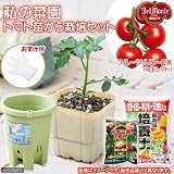 (観葉)私の菜園 デルモンテ フルーツルビーEX 苗から栽培セット(苗・土・プランター・肥料他5点セット) 家庭菜園 [生体]