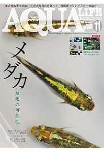 月刊アクアライフ 2024年 11月号 メダカ“新”飼育論 ☆特別付録☆特大