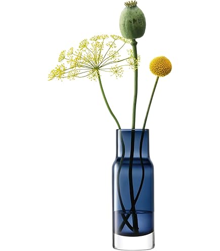 Amazon.co.jp: LSA(エルエスエー) フラワーベース(花器) クリア 高さ