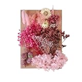 ハンドメイド材料 花資材 小分け ハーバリウム プリザーブドフラワー ドライフラワー クラフト 花材セット 手作りミニ押し花ド 小さめ繊細で オリジナル素材アクセサリー製作（レッド ）