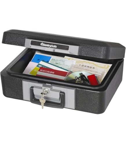 Amazon.co.jp: SAFESentrySafe 耐火・防水金庫 キーロック付き 自宅や