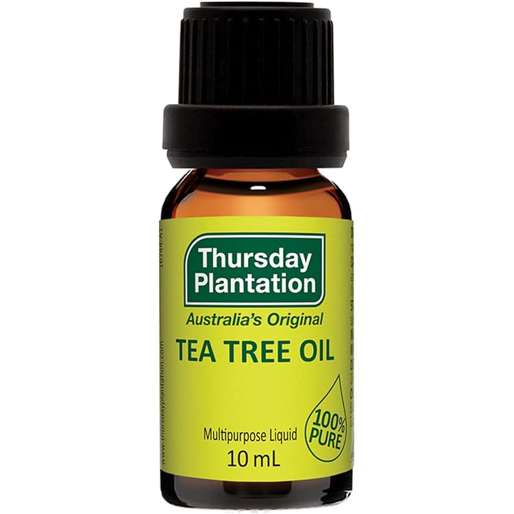 Amazon.co.jp: ティートゥリー 15ml ヤングリビング : ドラッグストア