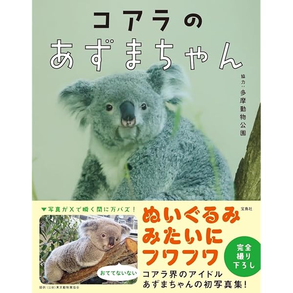 Amazon.co.jp: ふわふわコアラの親子カレンダー 2026【ポスト