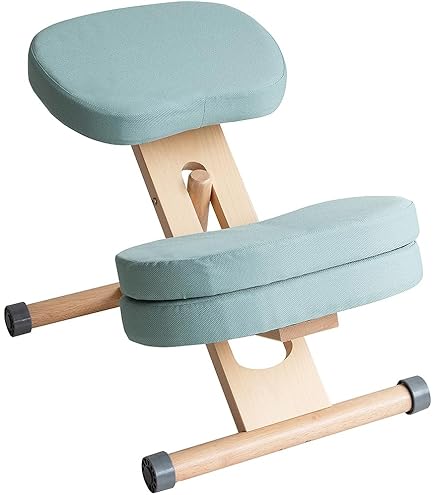 Amazon.co.jp: 宮武製作所 プロポーションチェア 幅48.5×奥行61-68×高