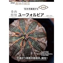 アガベ塊根植物ガイドブックセット趣味の園芸本雑誌多肉植物 楽天市場】趣味の園芸 アガベの通販