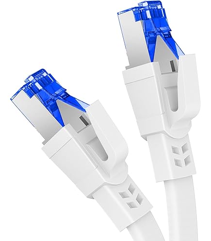 ＊DanYee CAT8 LANケーブル 3M ホワイト Amazon.com: DanYee Cat 8 Ethernet Cable, 1.6FT Nylon CAT8