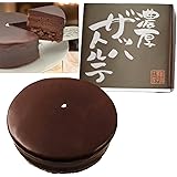 ザッハトルテ 5号サイズ (4人～6人前) 直径15cm 冷凍ケーキ【 ご褒美 ギフト 誕生日のお祝いに 】 ザッハトルテ風 人気 濃厚 チョコレートケーキ バースデー ケーキ バレンタイン 手土産 誕生日ケーキ 冷凍 【菜菓亭 菓子処】