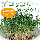 【メール便配送】　国華園　野菜たね　菜類　ブロッコリー　スプラウト　10袋【※発送が国華園からの場合のみ正規品です】