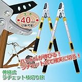 後藤:伸縮式ラチェット枝切り鋏 809642