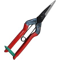 Amazon | 近正(CHIKAMASA) チカマサ 芽切鋏 T-550 | 高枝切りばさみ