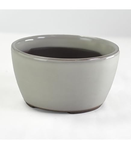 丸善　白磁水盤 丸善 白磁水盤