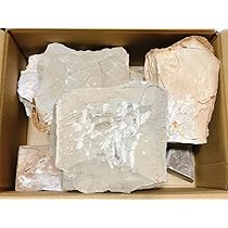 天然砥石　砥石　仕上げ砥石　京都　鉋　鑿　鋸 外丸豆砥石 天然砥石 仕上げ砥 6㎜ | 鉋や寸八