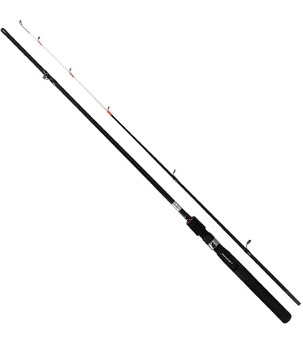 Amazon | RISEWAY(ライズウェイ) ロッド WHITE HUNTER FUNE 30-240