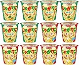 【EC限定】じゃがりこ アソートセット サラダ・チーズ 各6個（計12個)