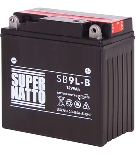 Amazon | GS YUASA / YB9L-B (SB9L-B, 12N9-3B, GM9Z-3B, FB9L-B