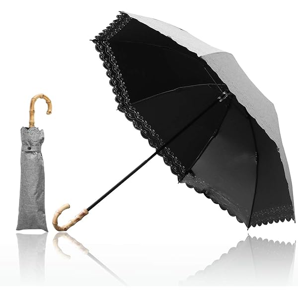 Amazon.co.jp: PT完全遮光深張2段折傘/ローズMT 205904 : ファッション