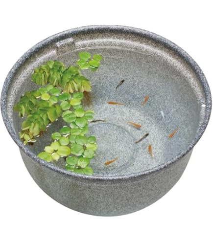 Amazon.co.jp: 浮陶器 浮球 浮き玉 ビオトープ 睡蓮鉢 金魚鉢 メダカ鉢