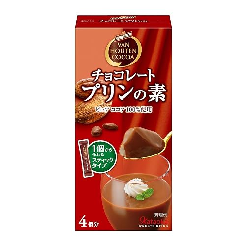 片岡物産 スイーツスティック バンホーテン チョコレートプリンの素
