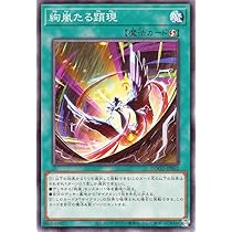 Amazon.co.jp: 遊戯王カード 絢嵐たる見神(ノーマル) DOOM OF